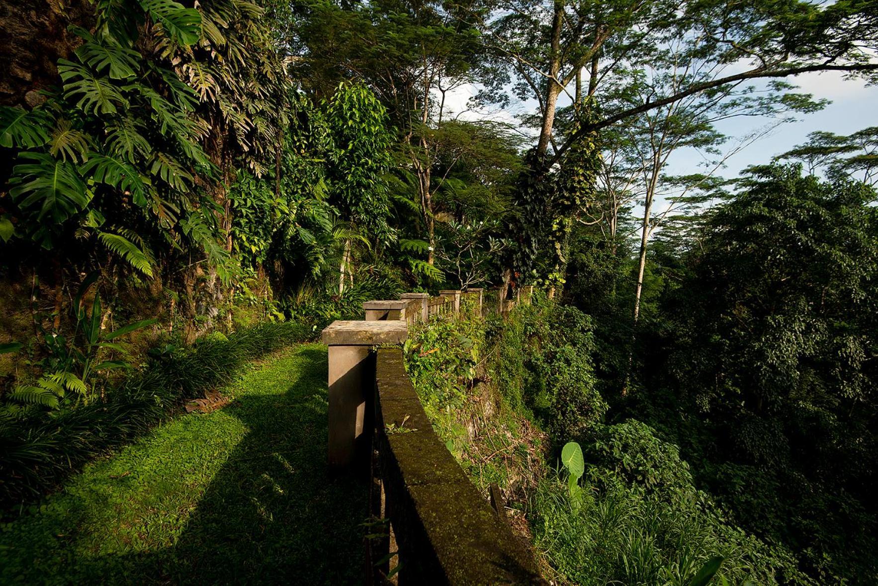 Villa Naga Putih Ubud Eksteriør bilde