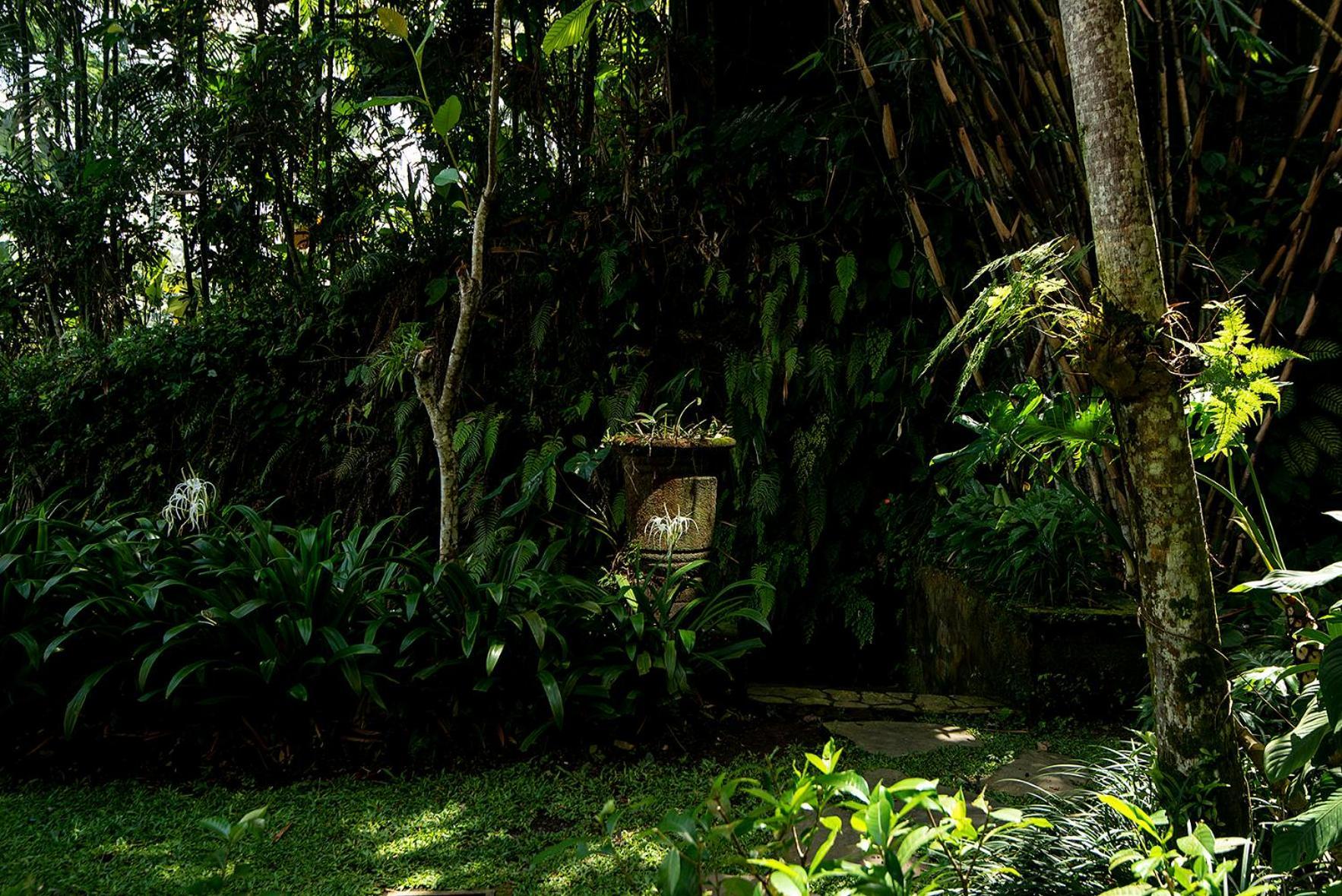 Villa Naga Putih Ubud Eksteriør bilde