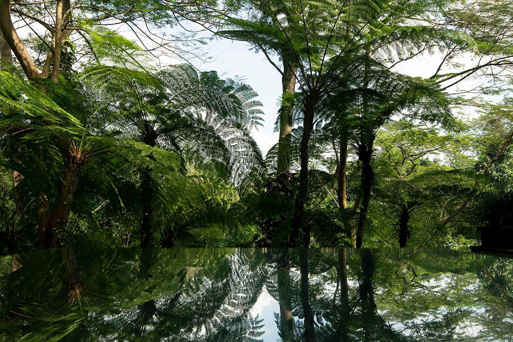 Villa Naga Putih Ubud Eksteriør bilde